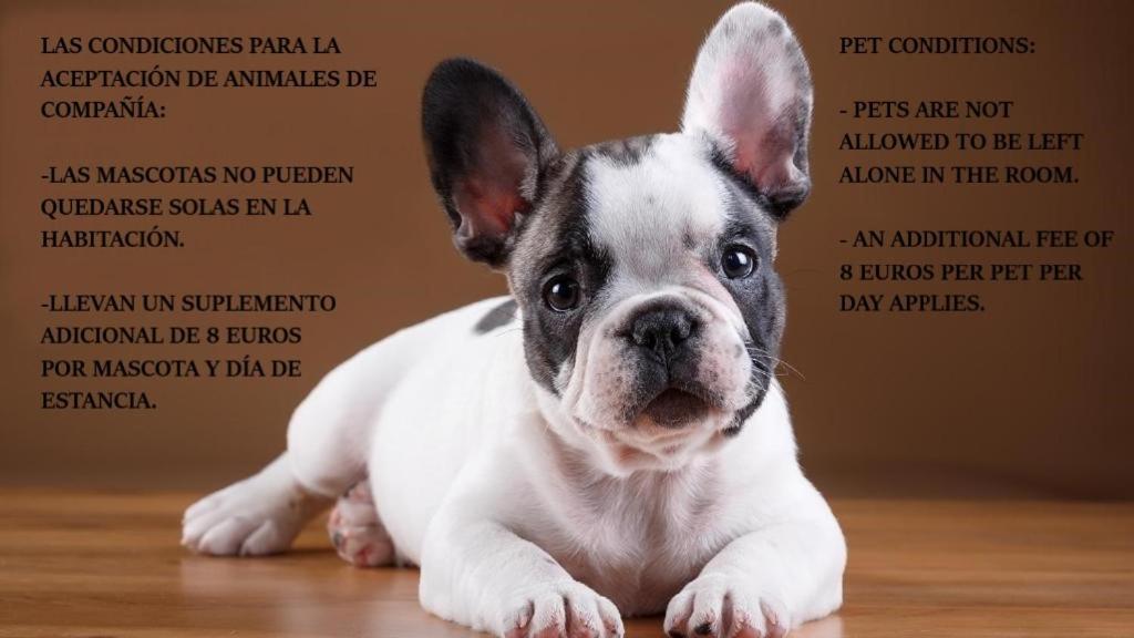 Las Abadias Mérida Luaran gambar